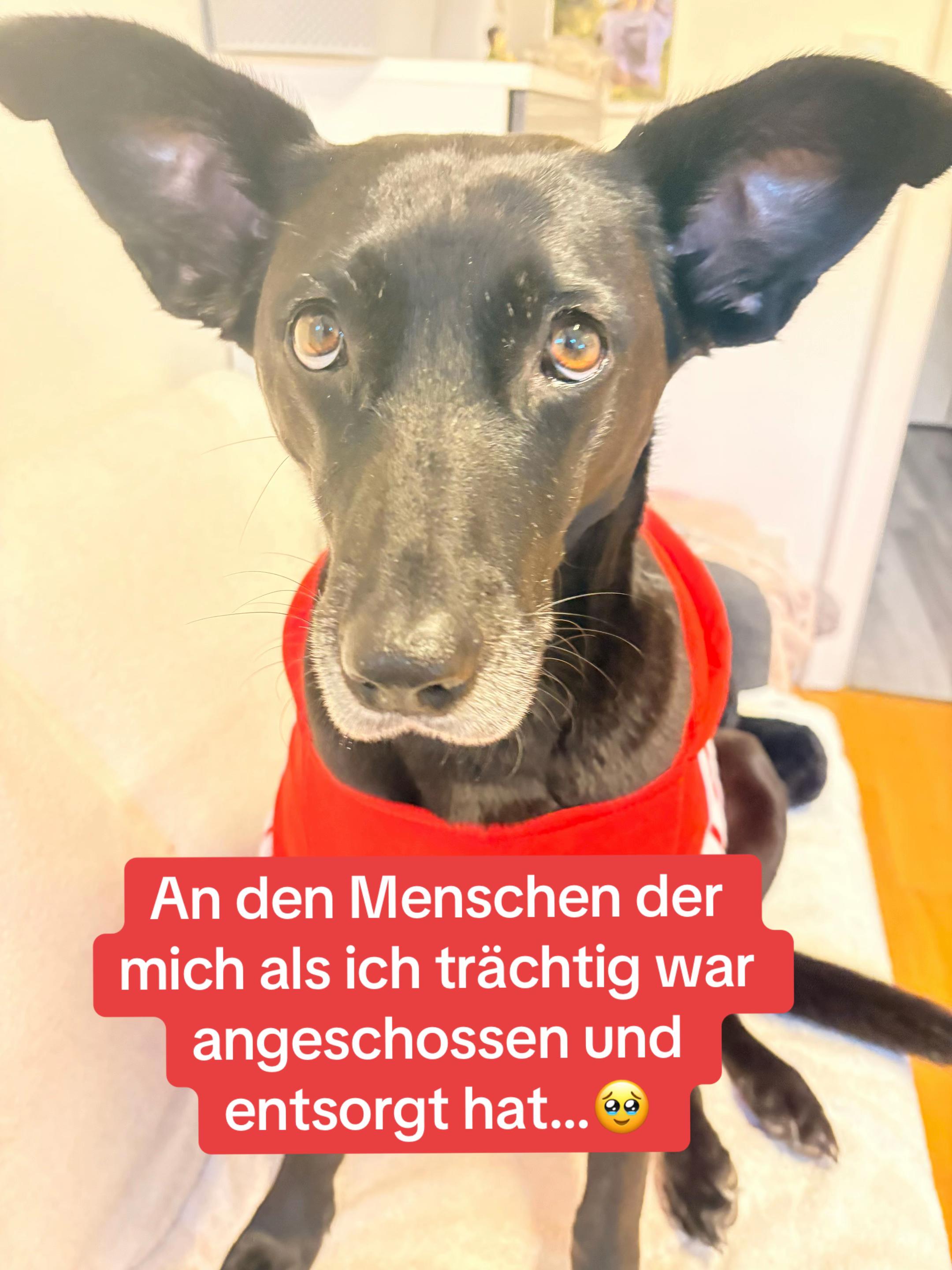 @BLACKY 🐶🐾