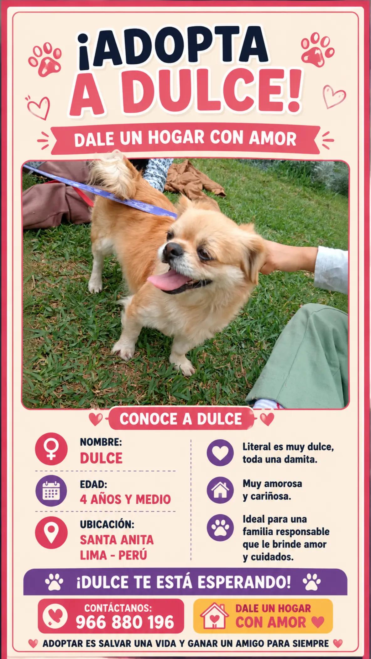 @Perritos Voladores