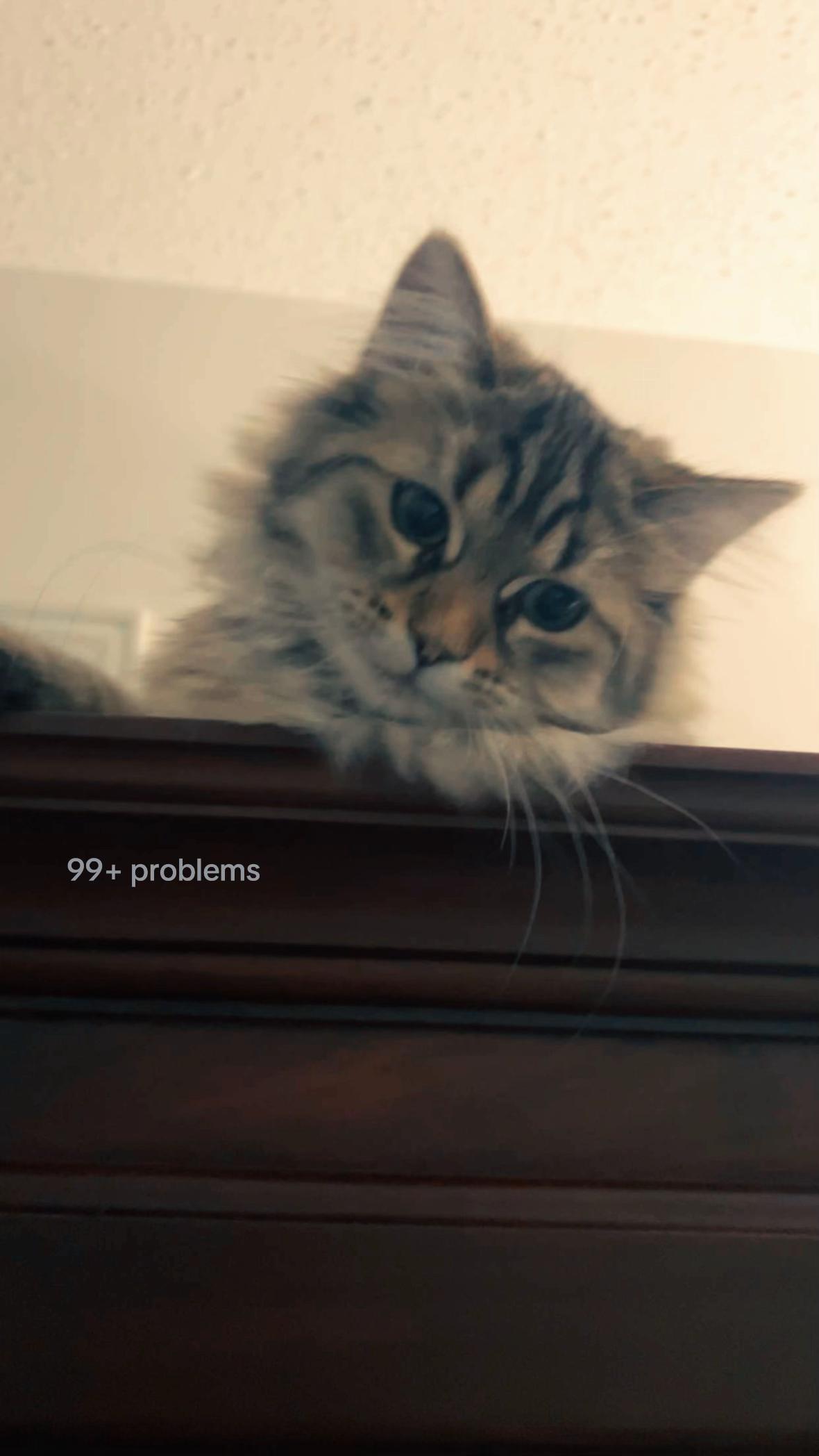 @Sal.