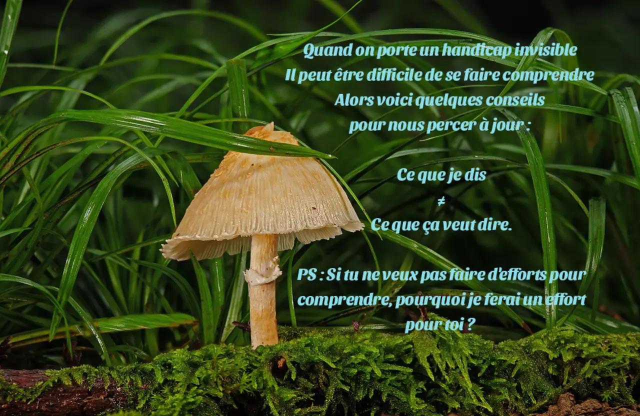 @Maruschka Création🌻