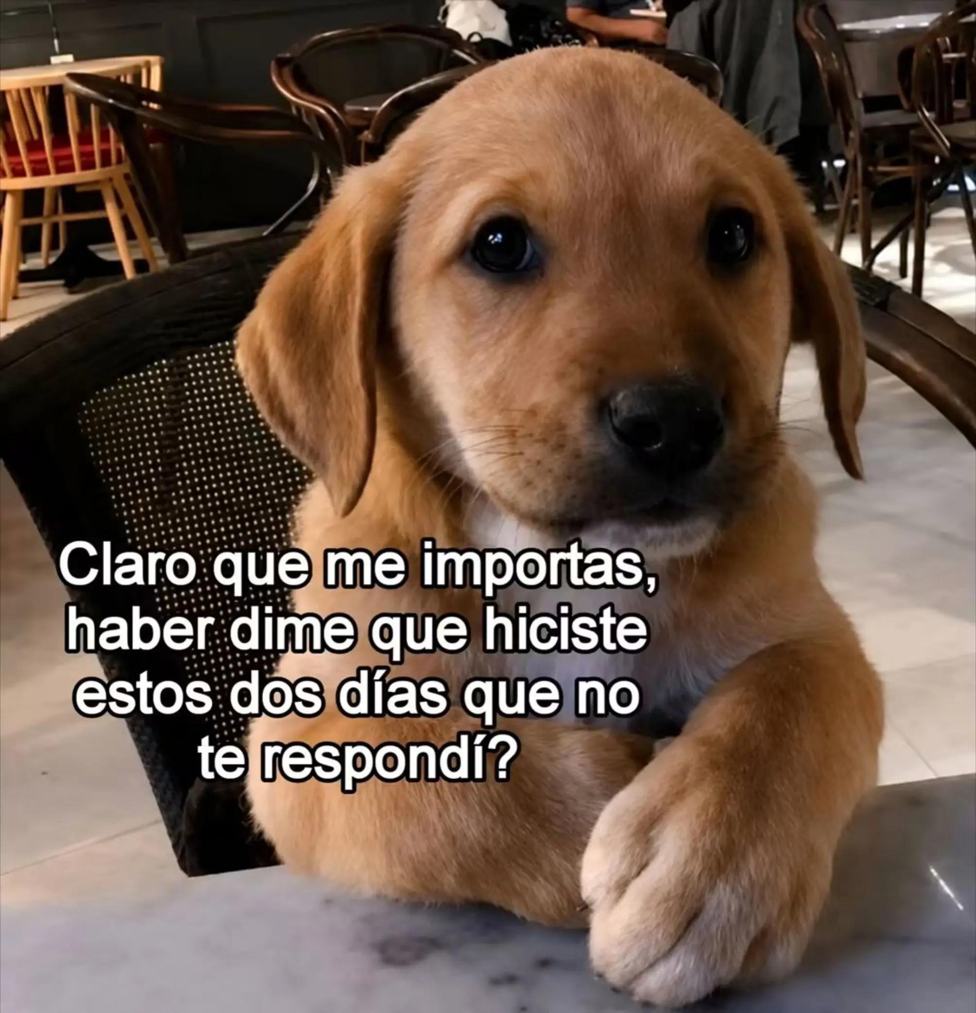 @luly_leiv11