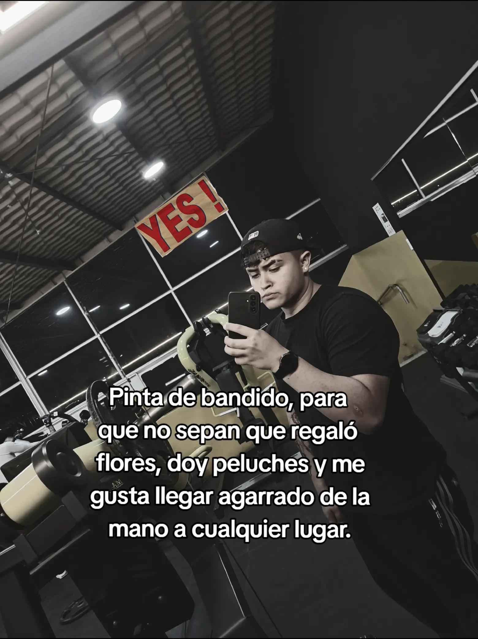@Sebastian 👤 💤