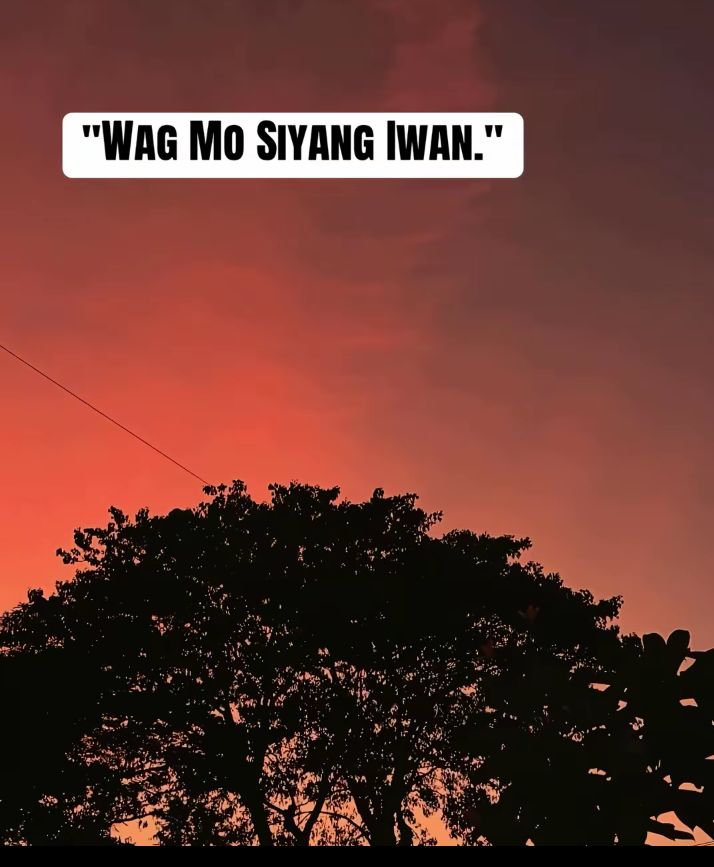 @MJ dalos santos