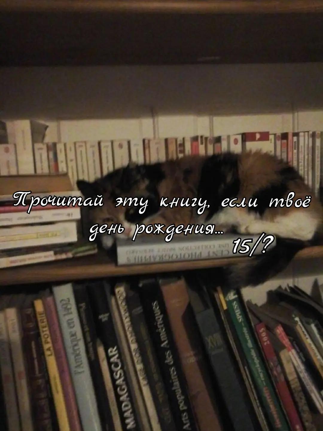 @&dagger;Книгочей&dagger;📚🕯️