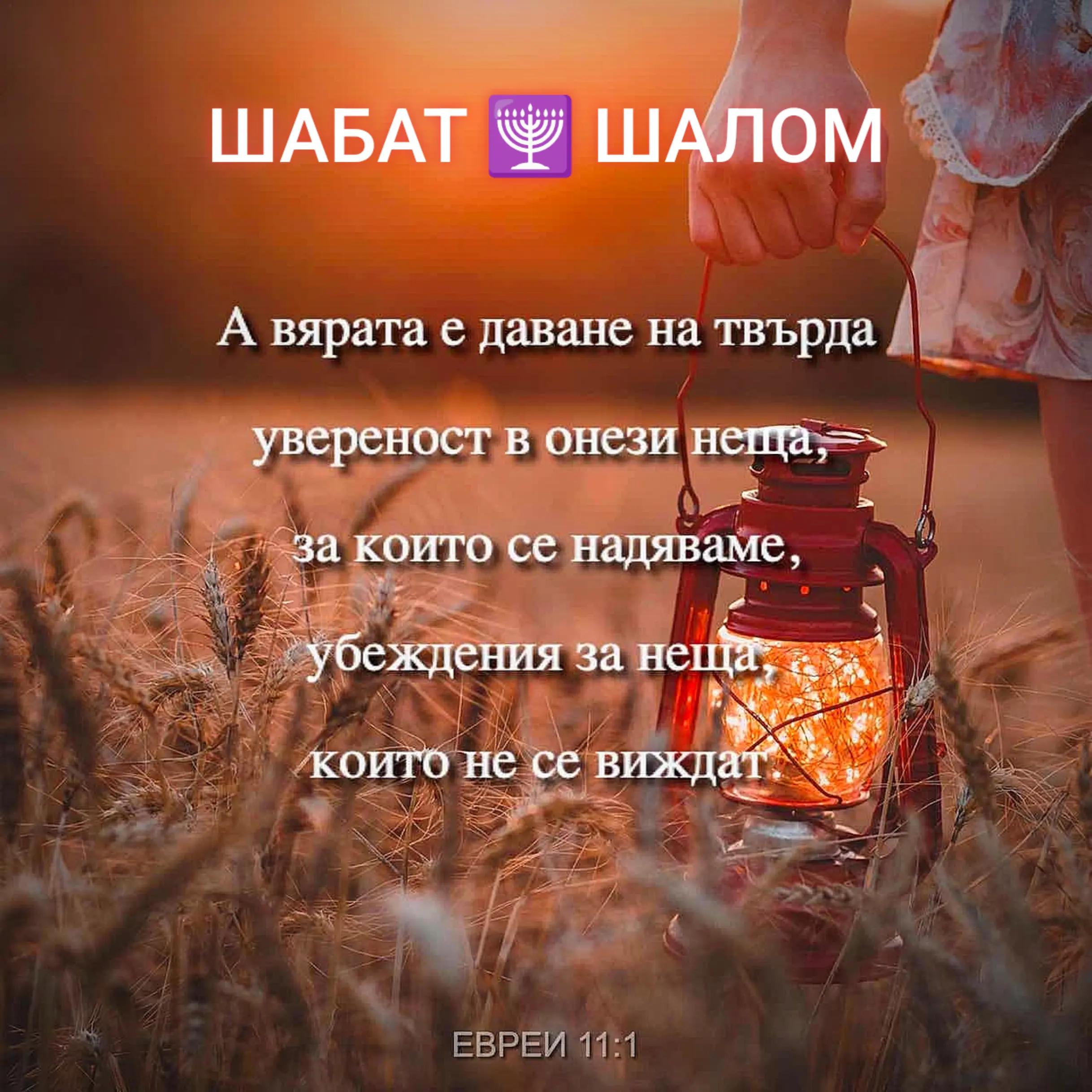 @🕎🄱🄾🅁🄸🅂🕎