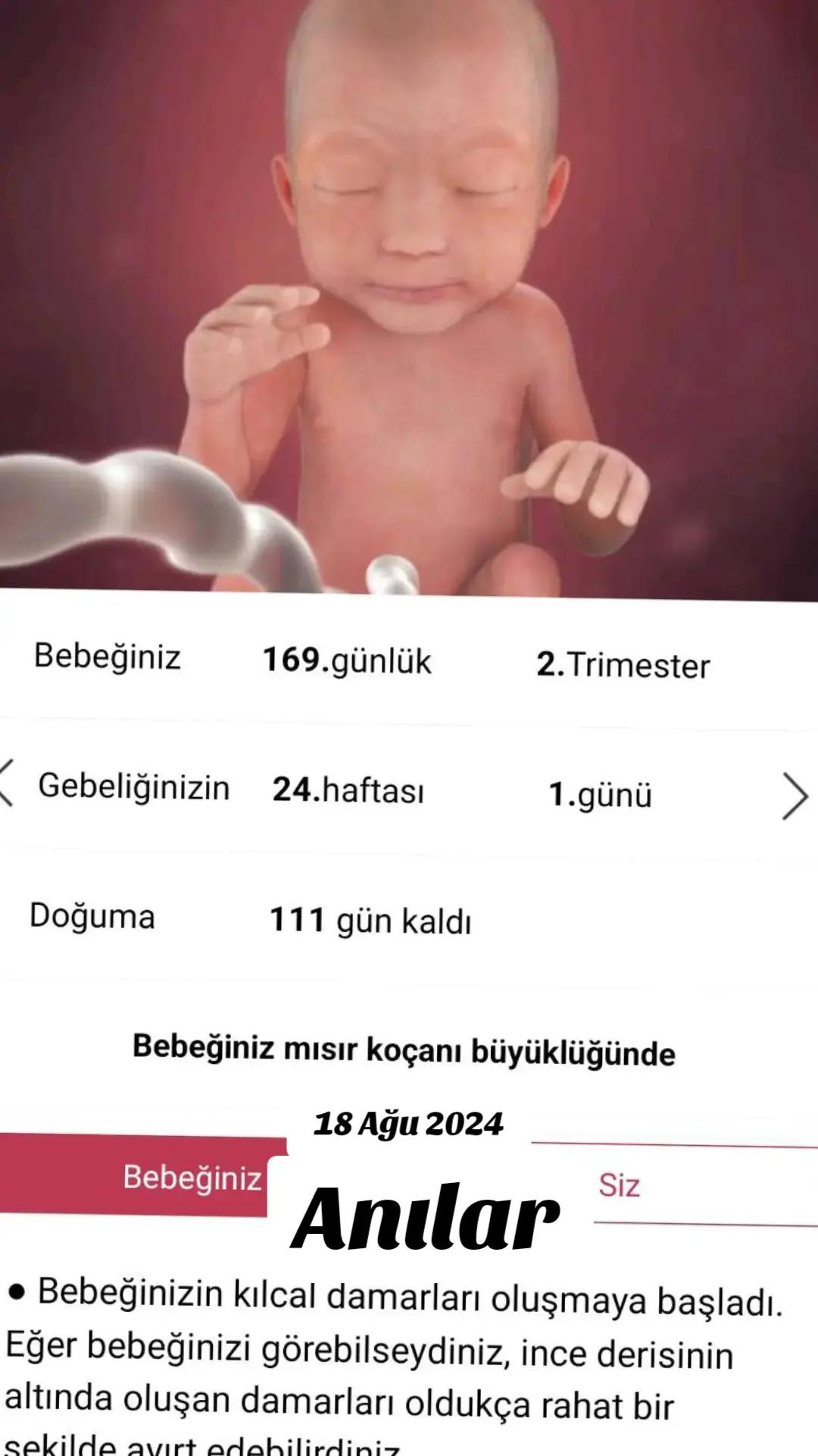 @Prenses ve Prens annesiyim🩵🩷