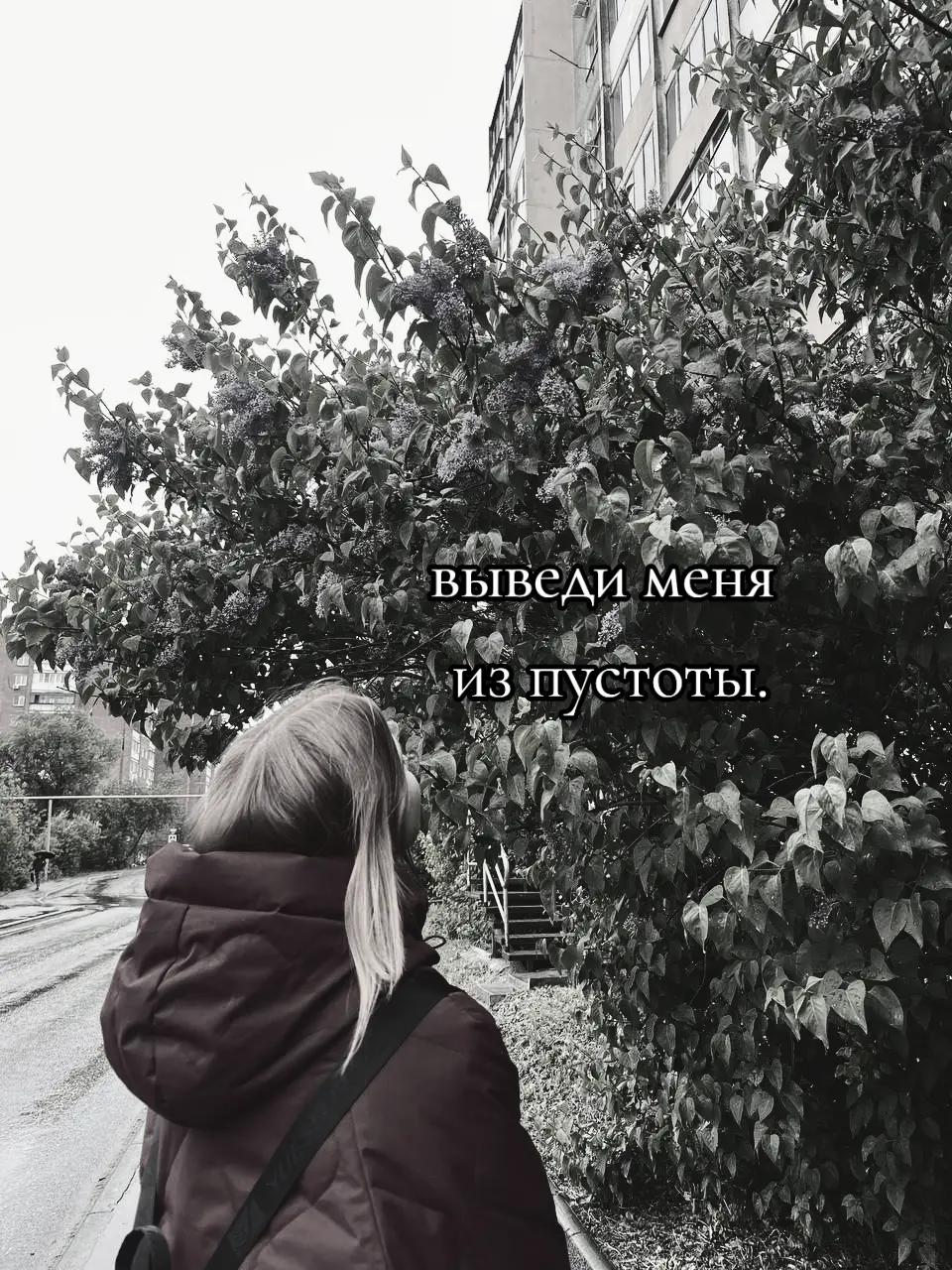 @⋆. 𐙚 ̊