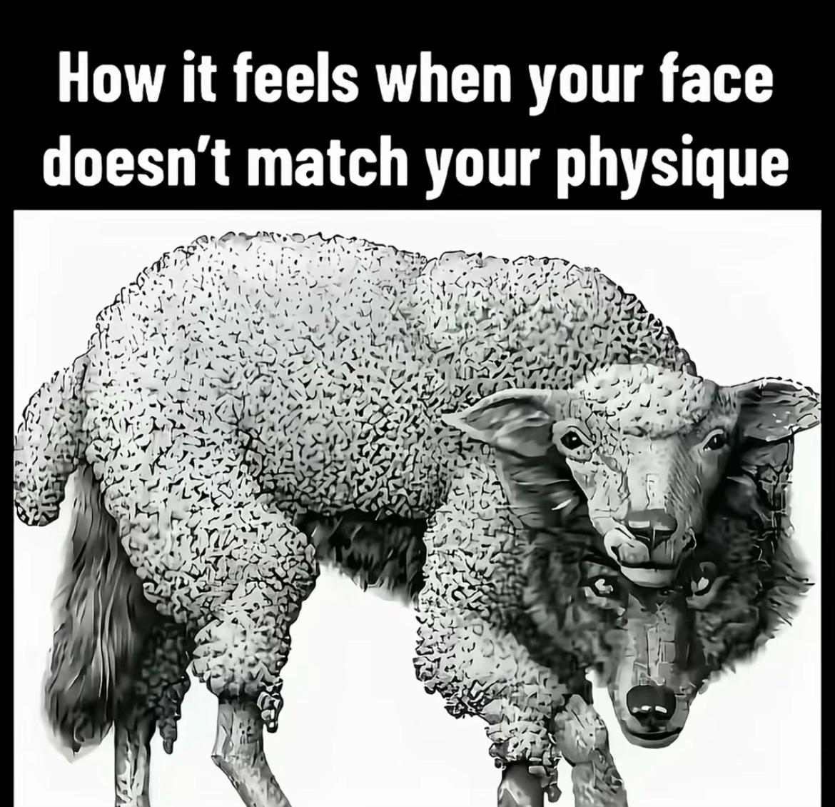 @إِيَاد