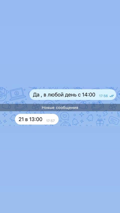 @_novik_arina_