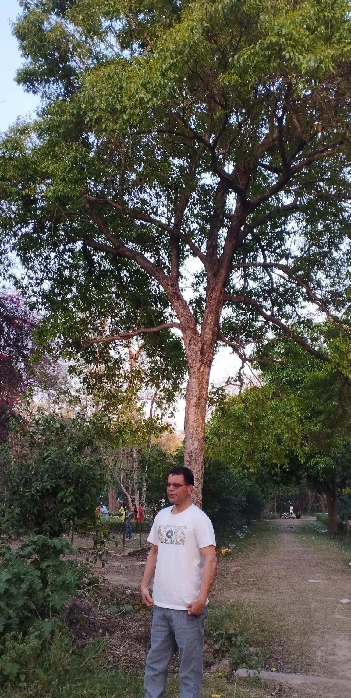 @Tika Bhandari
