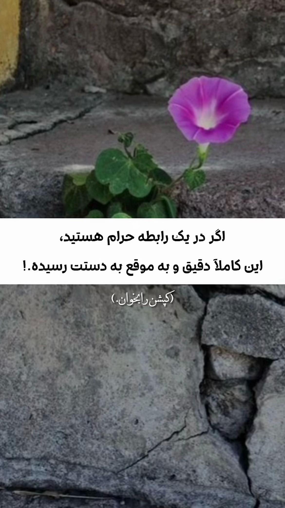 @𓆩ـمدᥫ᭡آحـ𓆪