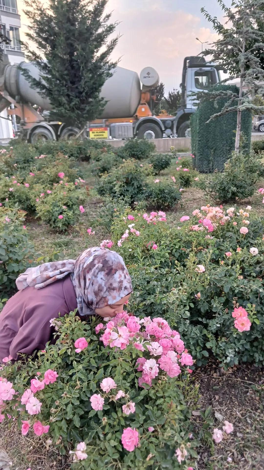 @Meryem Özlü