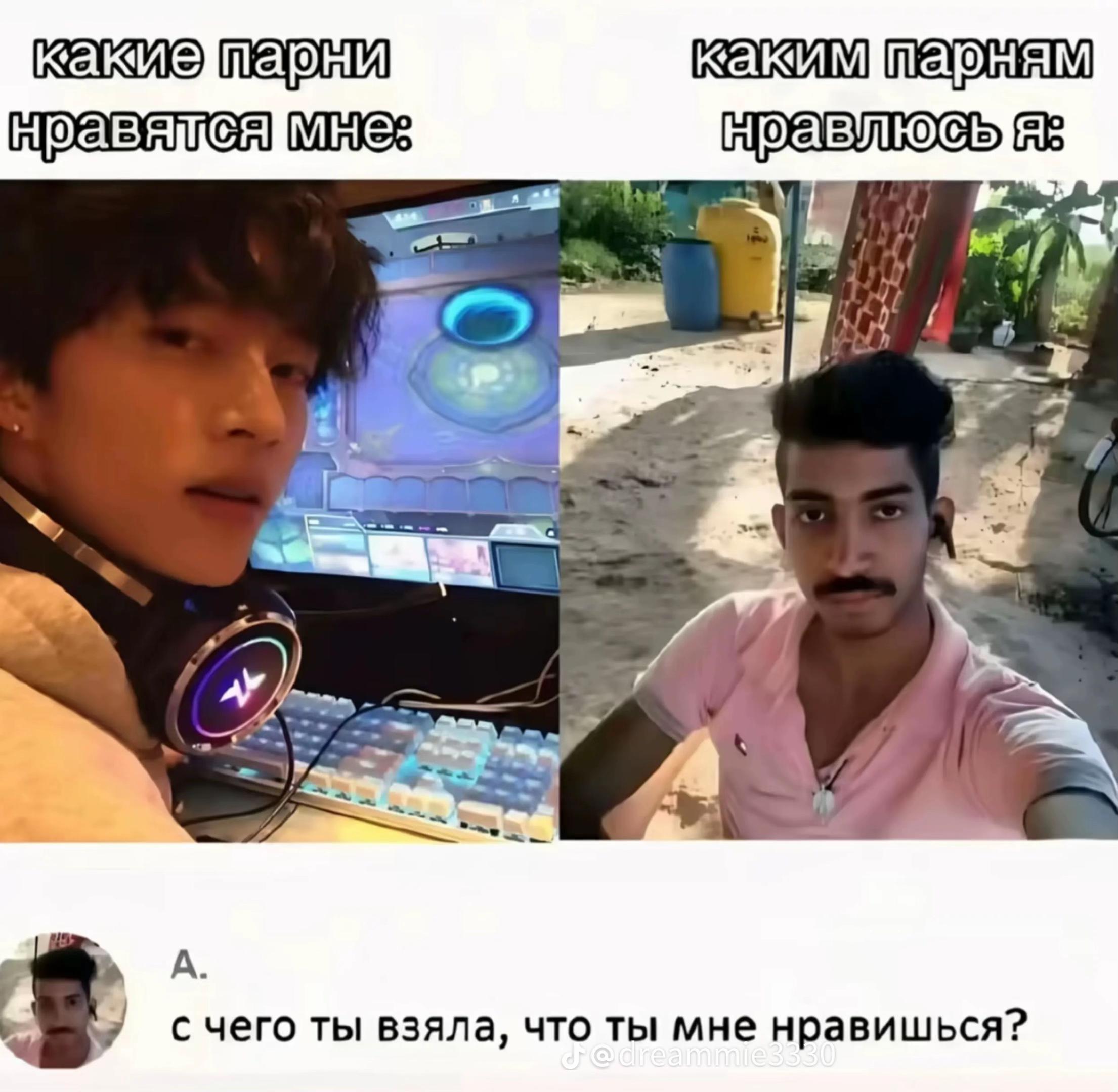 @тгк: Котик в тележке