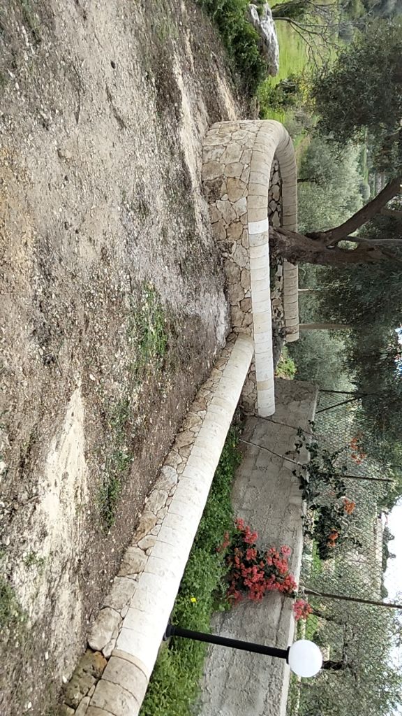 @giuseppepintald48