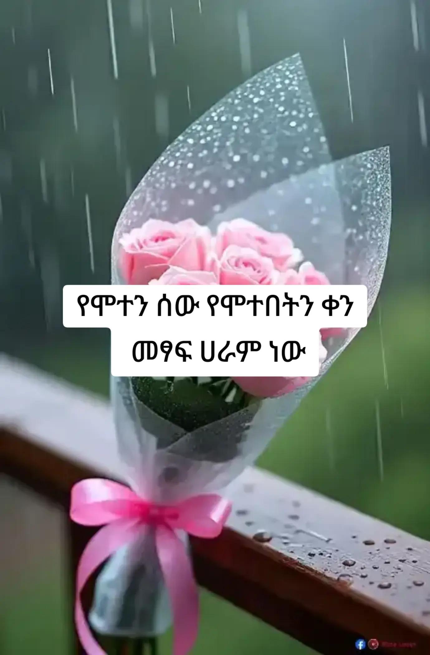 @ኢተቂሏህ ነብሴ 1الله كريم🕊🤍Ⓜ