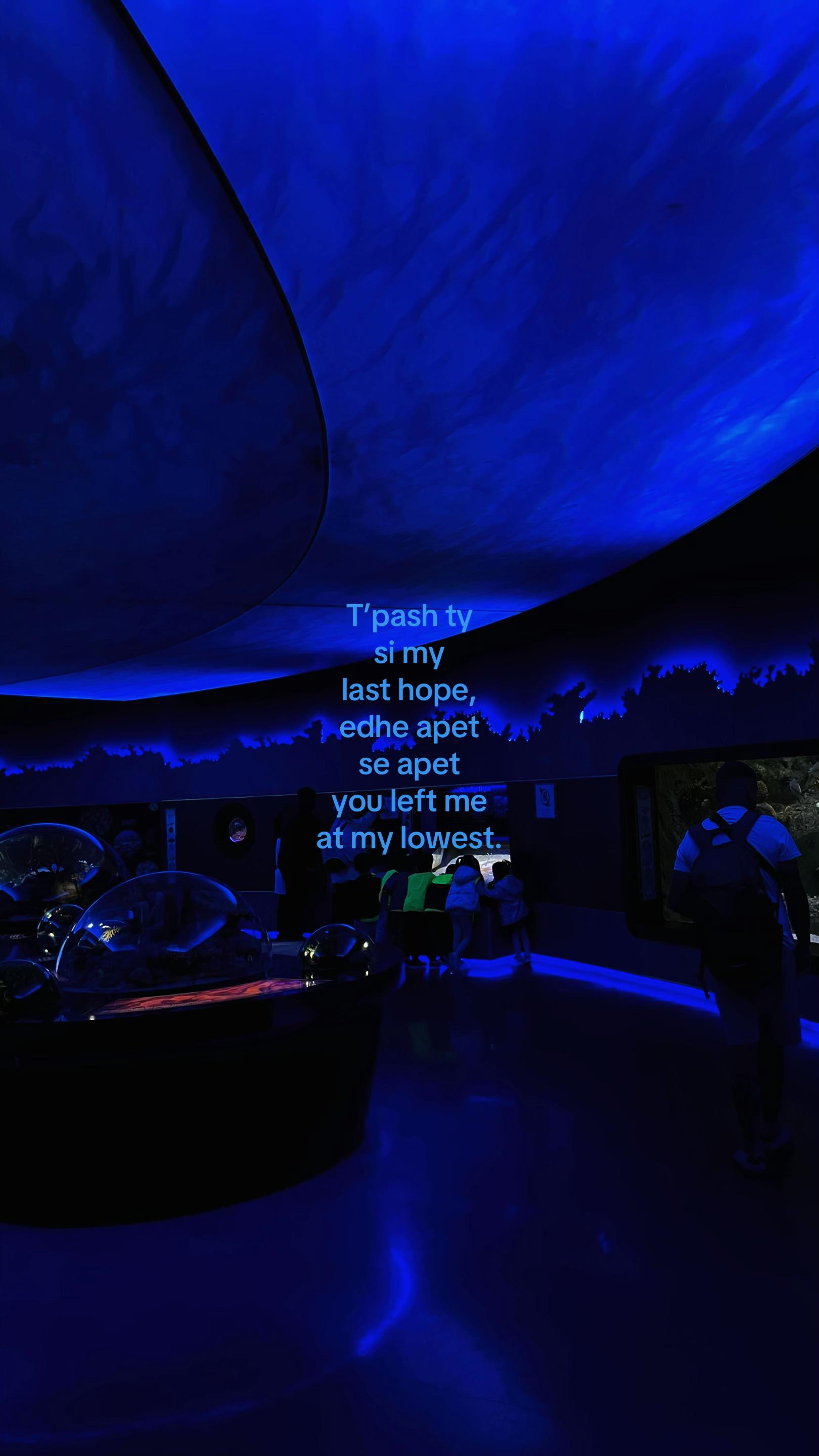 @qabot!