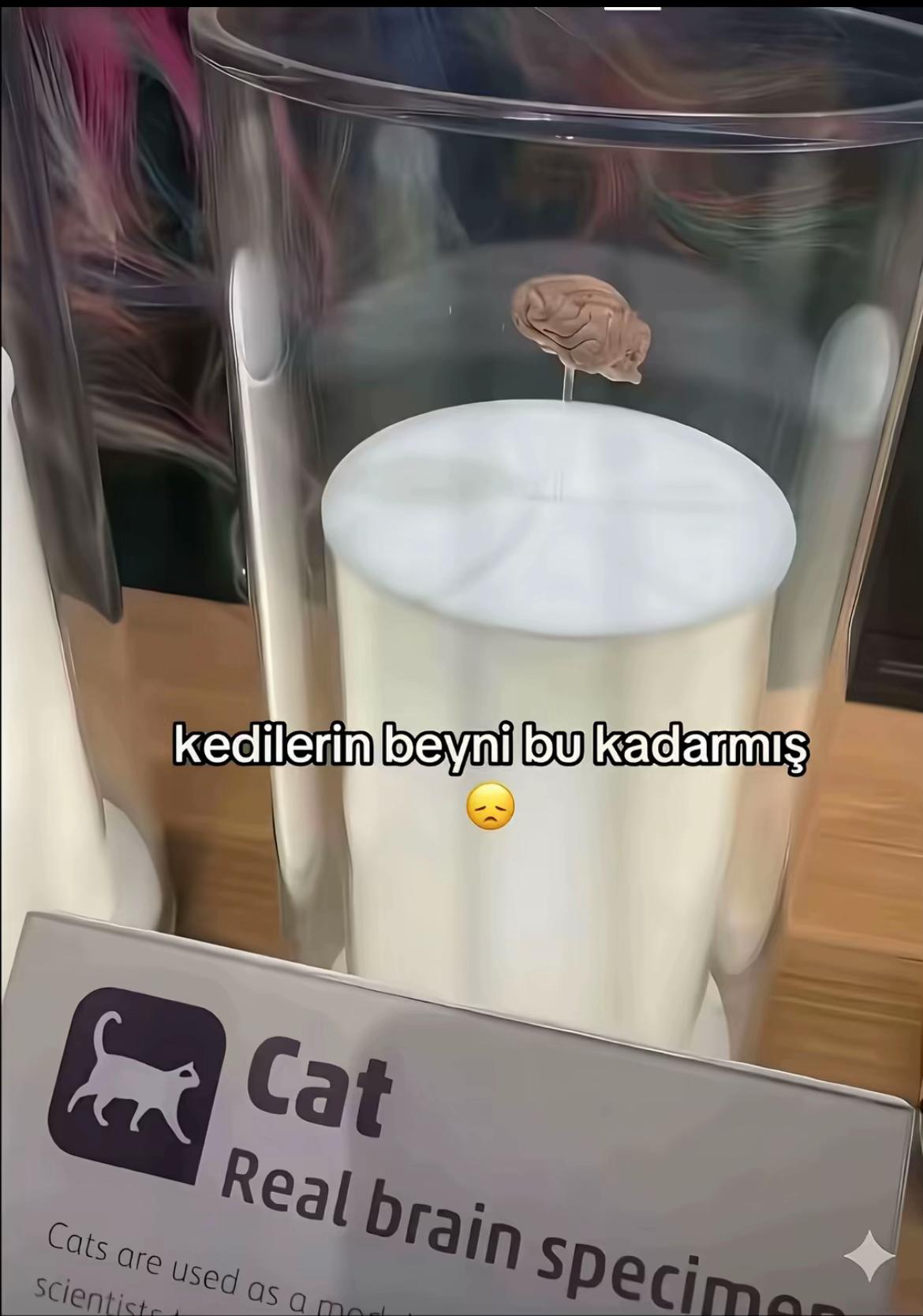 @Bakibeyy
