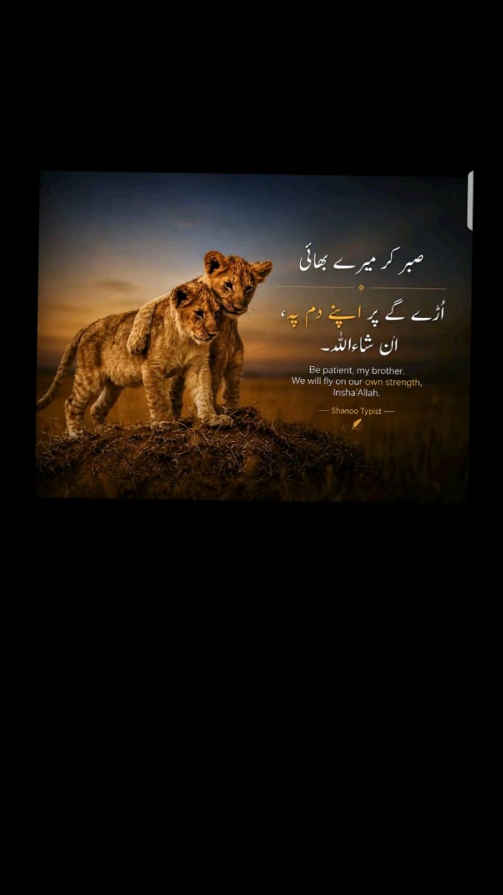 @👑Waqas Biland 👑