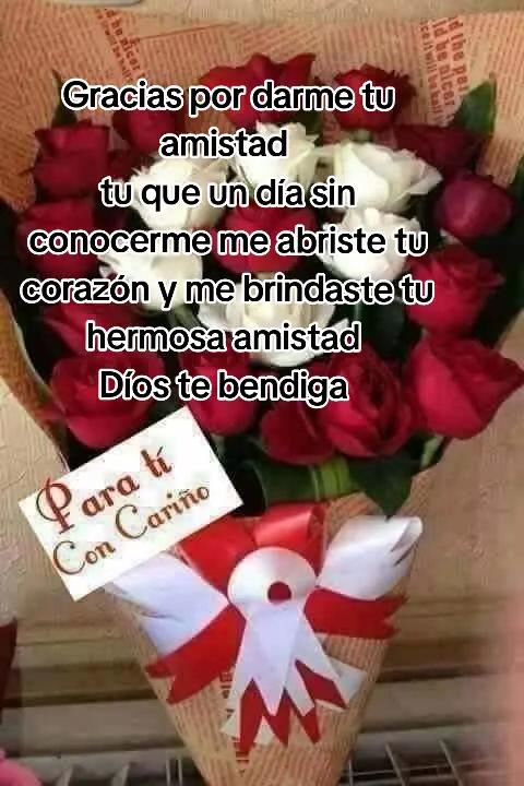 @Dalia Vicente y Juan Mata