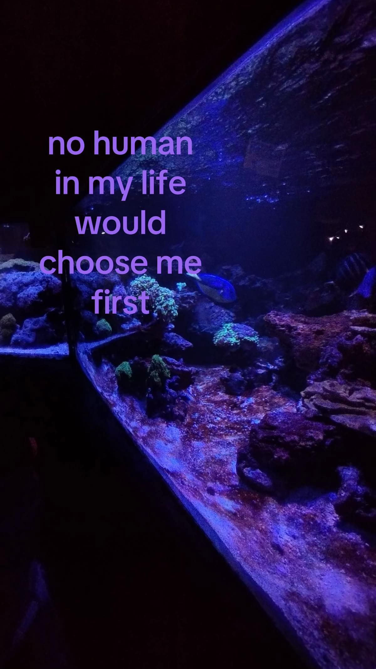 @𝐚𝐢𝐧𝐬𝐥𝐞𝐚