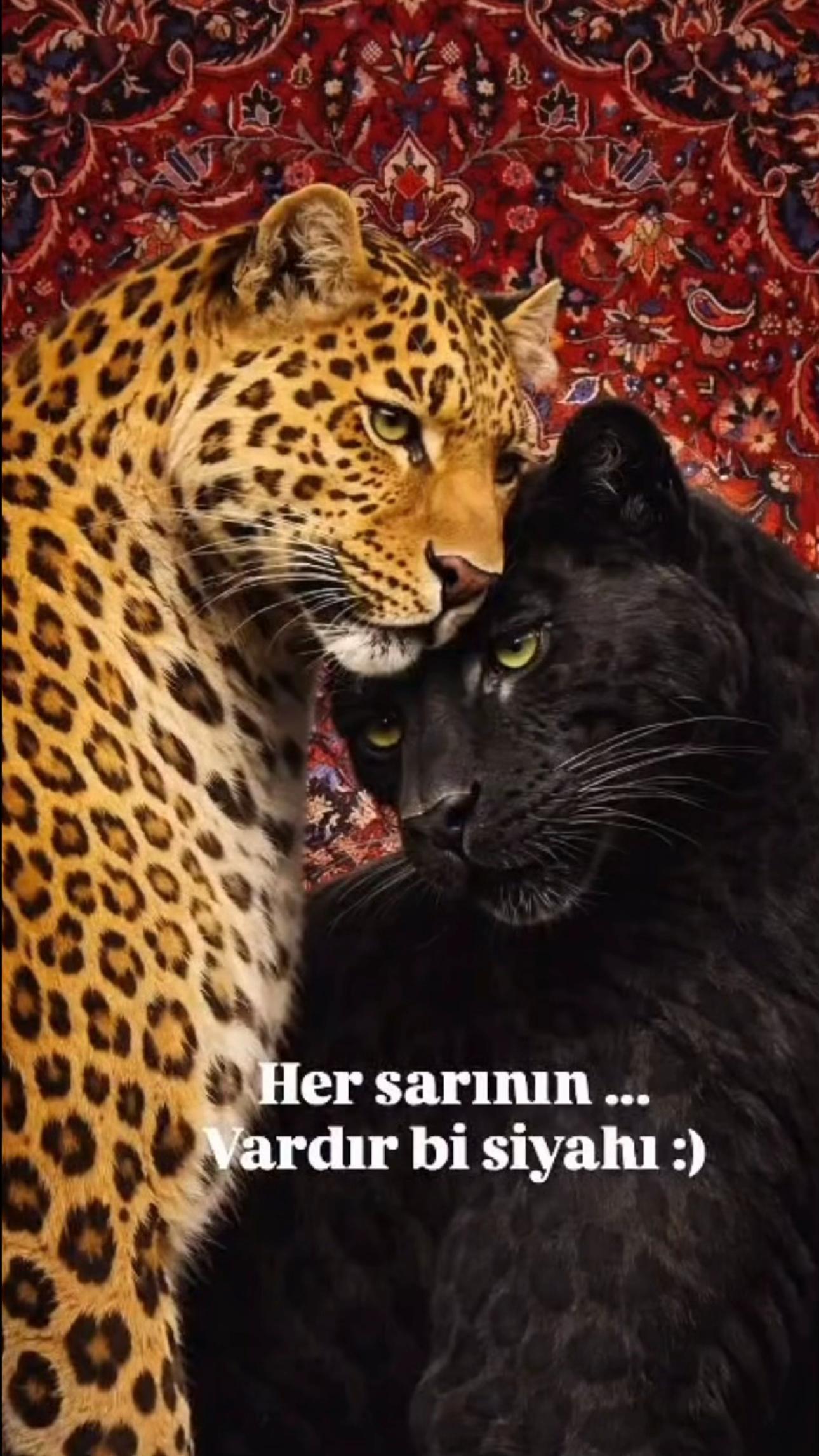 @Çiçek