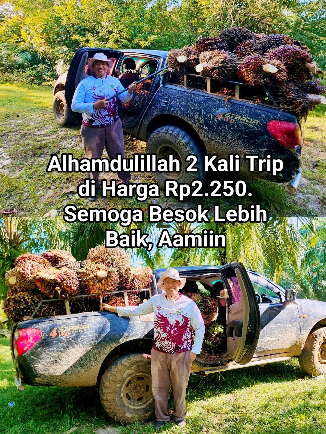 @Mr JARNAWI