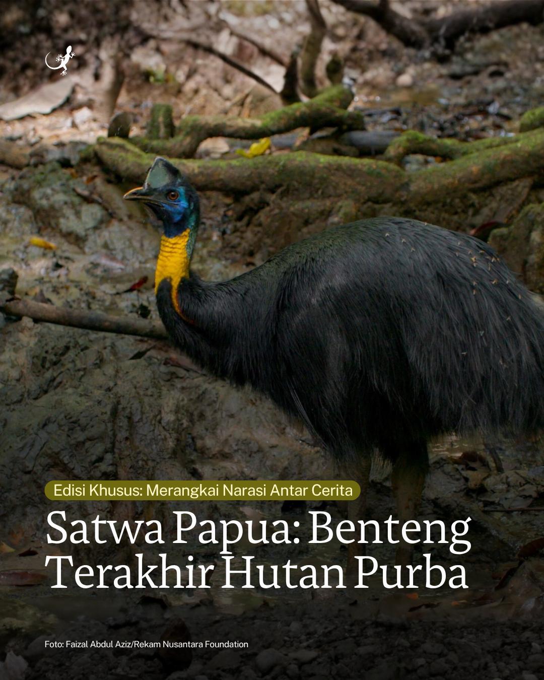 @mongabayindonesia