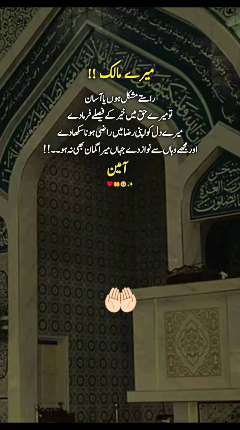 @Haider Ali 💯💯💯