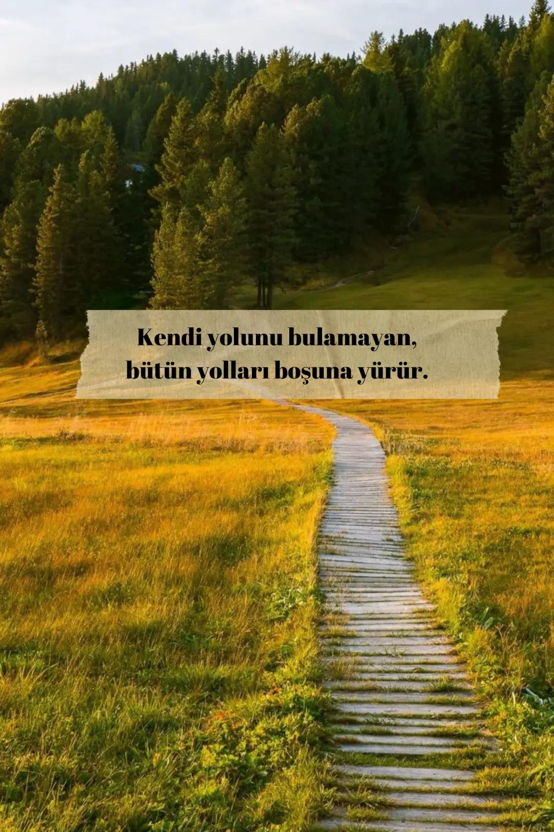 @Tuğba D.