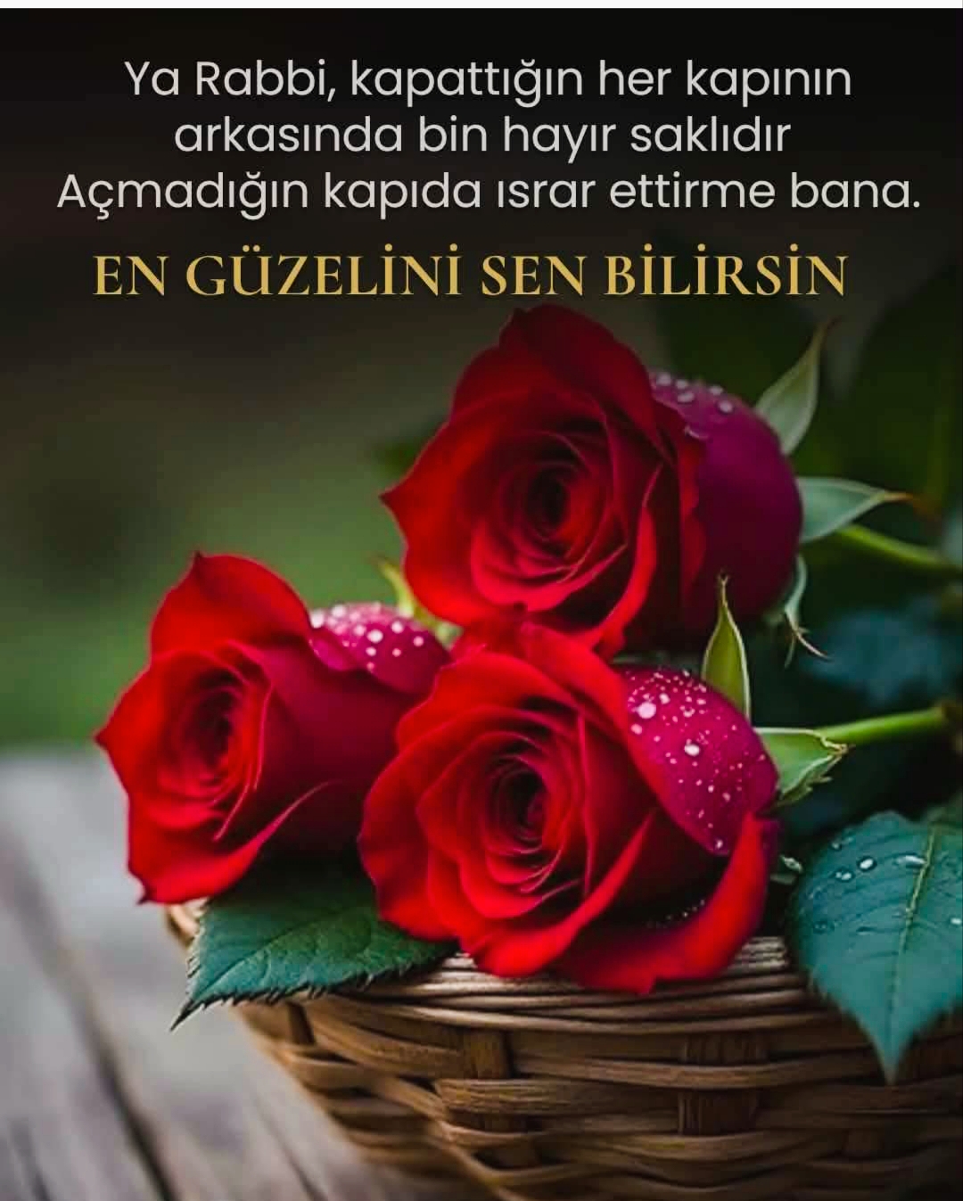 @helin. 0968