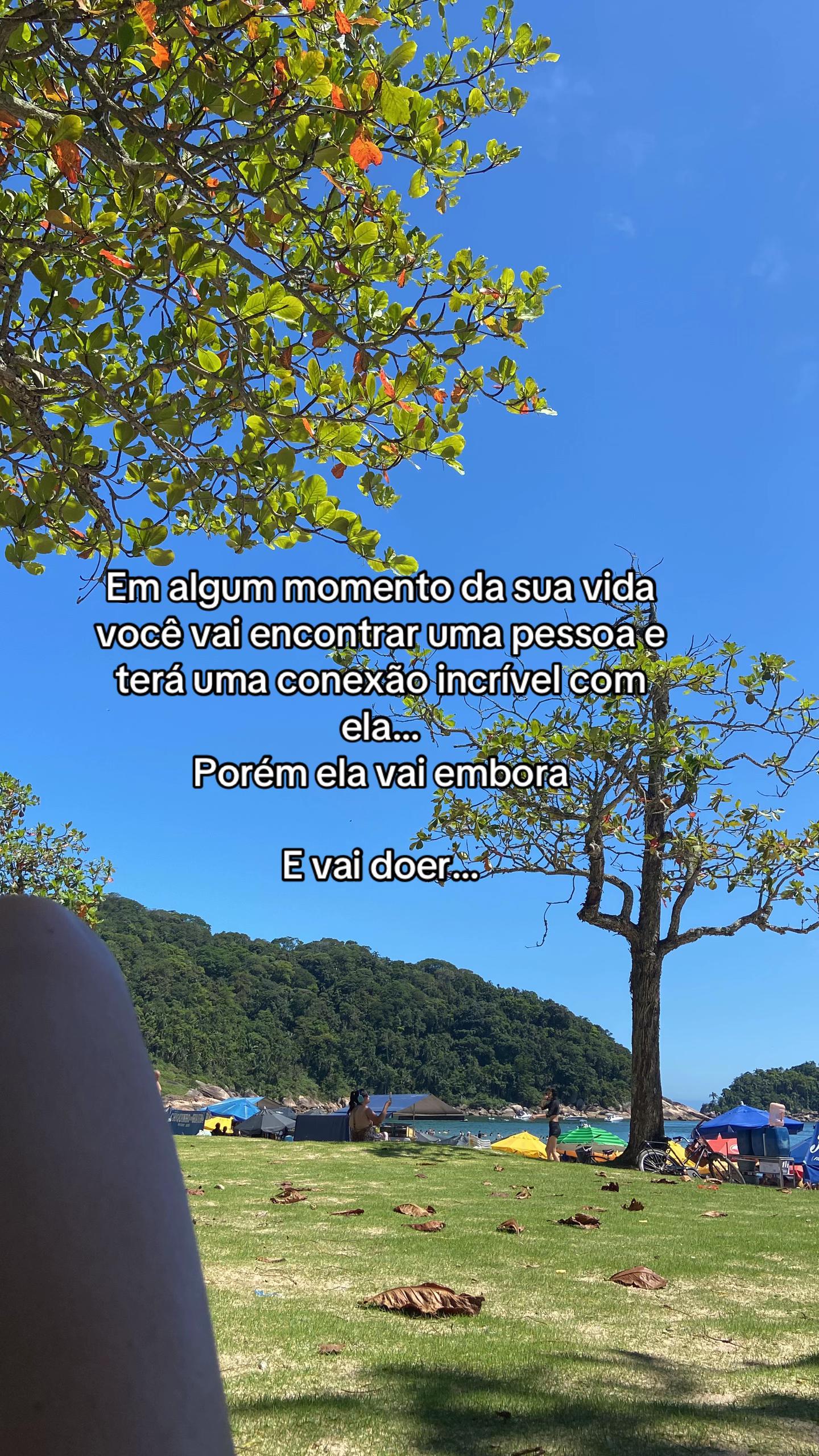 @Aline Pereira