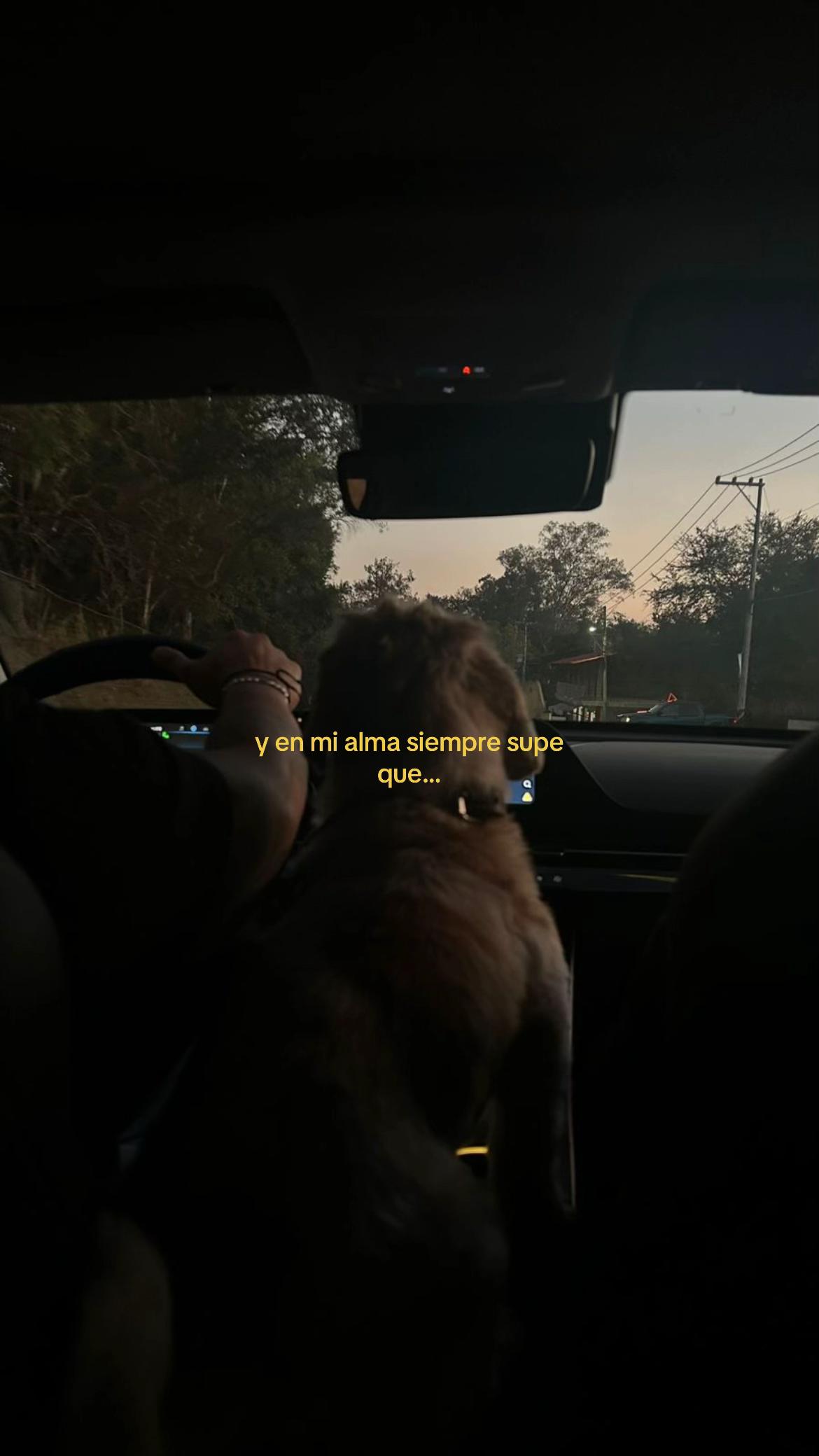 @majo ݁⋆ ★ ˚。⋆