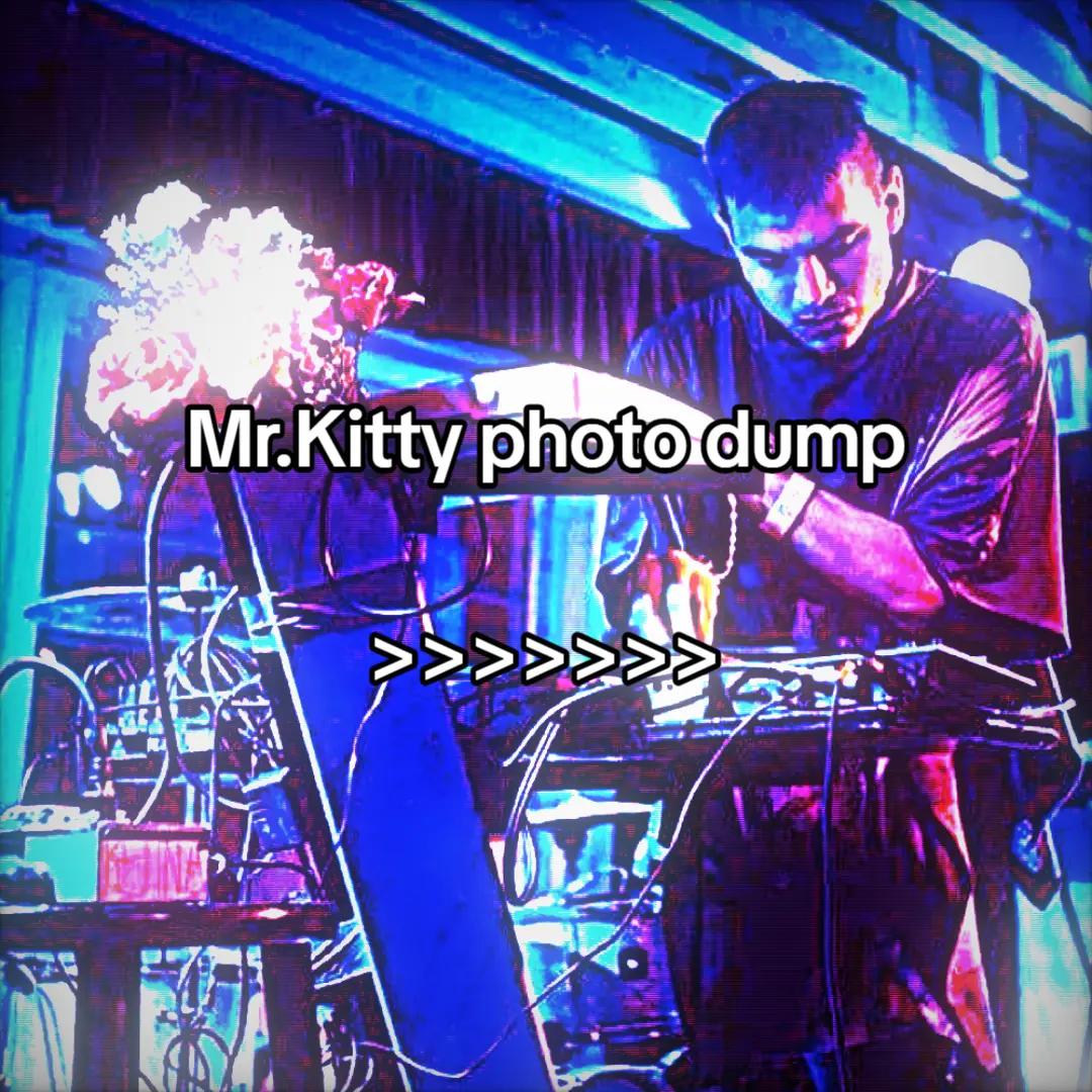 @Daily Mr.Kitty