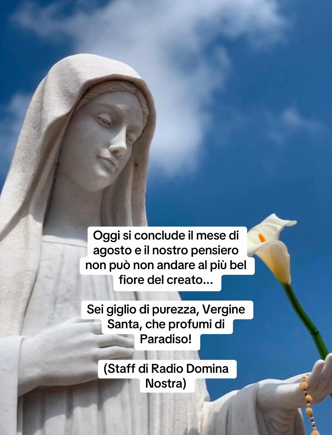 @Don Minutella