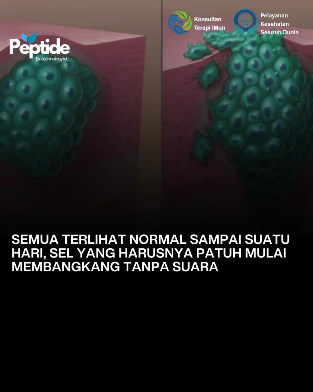 @Peptide Biotechnology.id