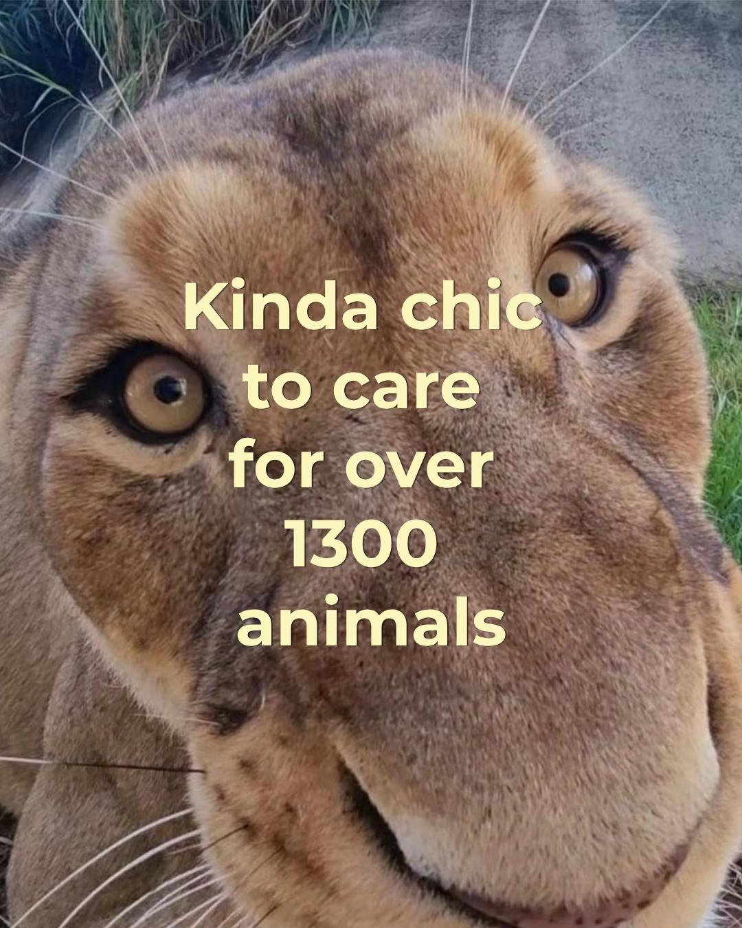 @Perth Zoo