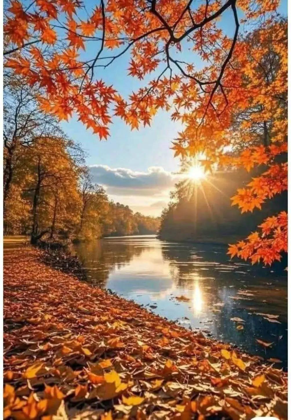 @Скарлет💙