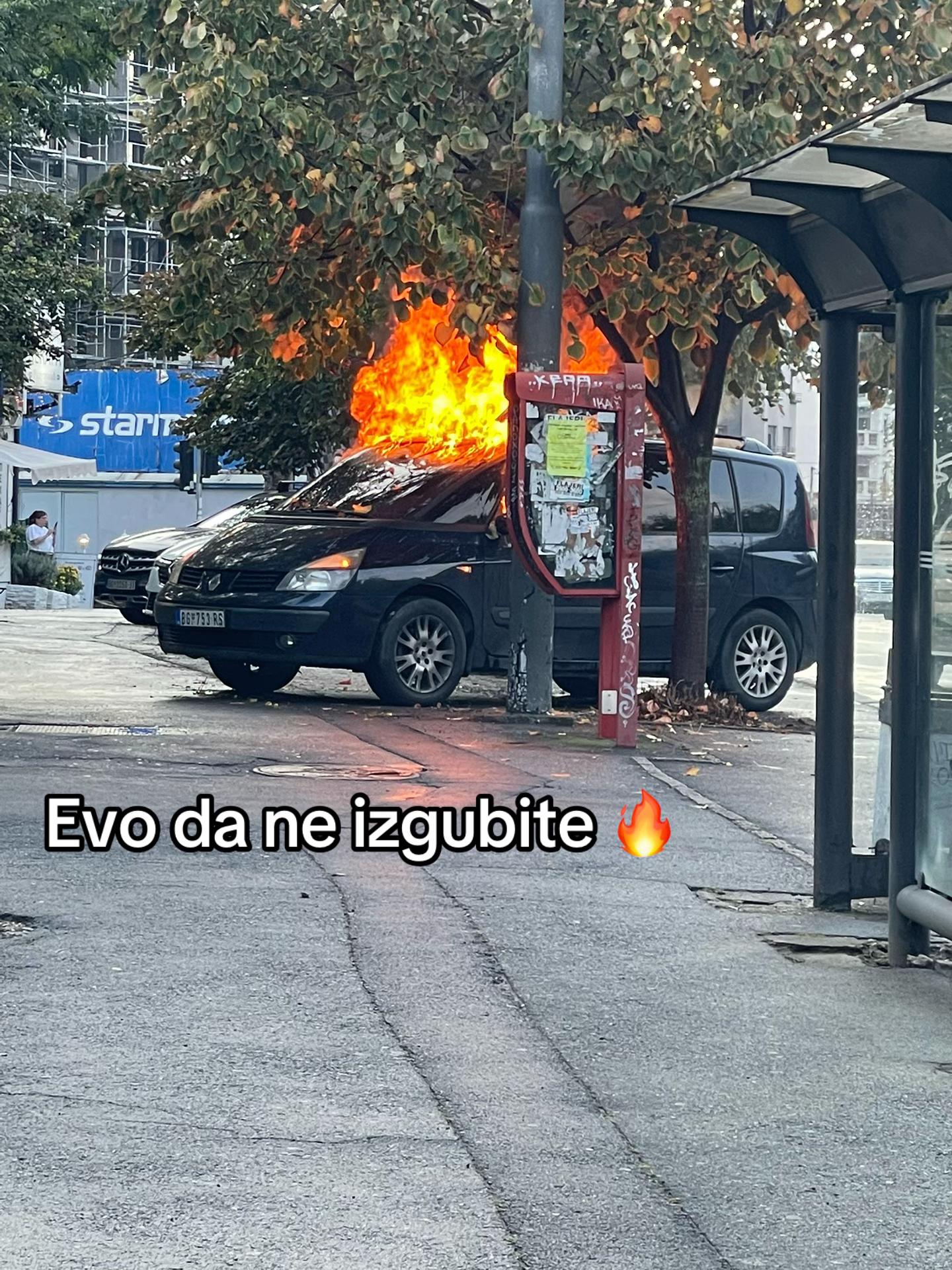 @Gvozdeni