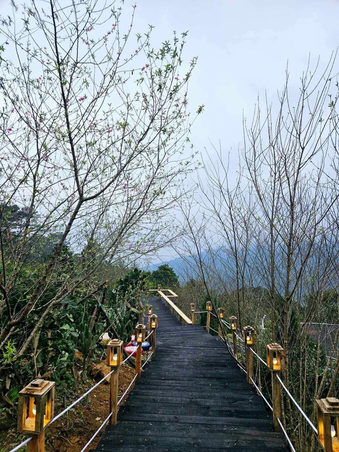 @Cùng Rùa đi Tam Đảo
