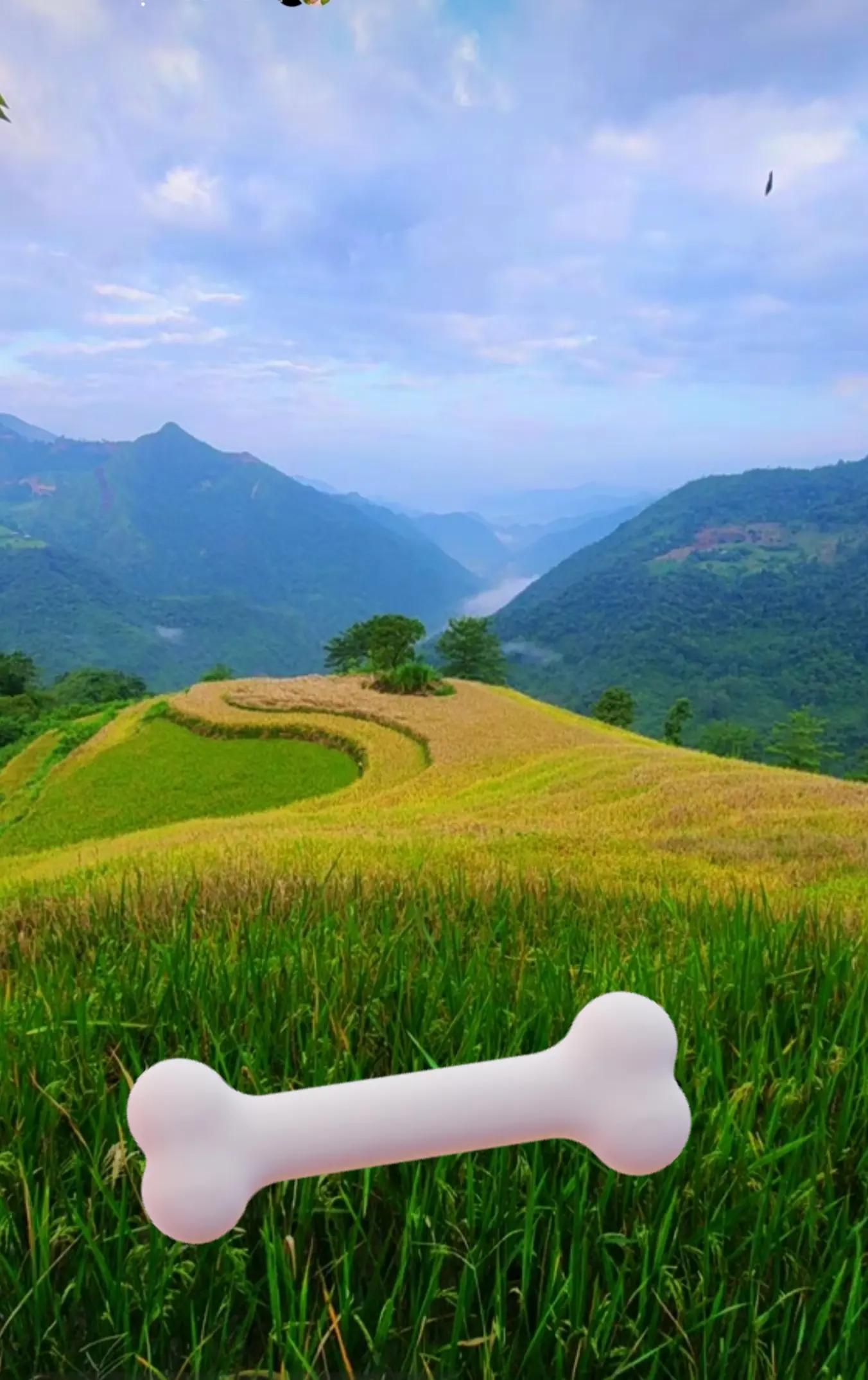 @thất vọng