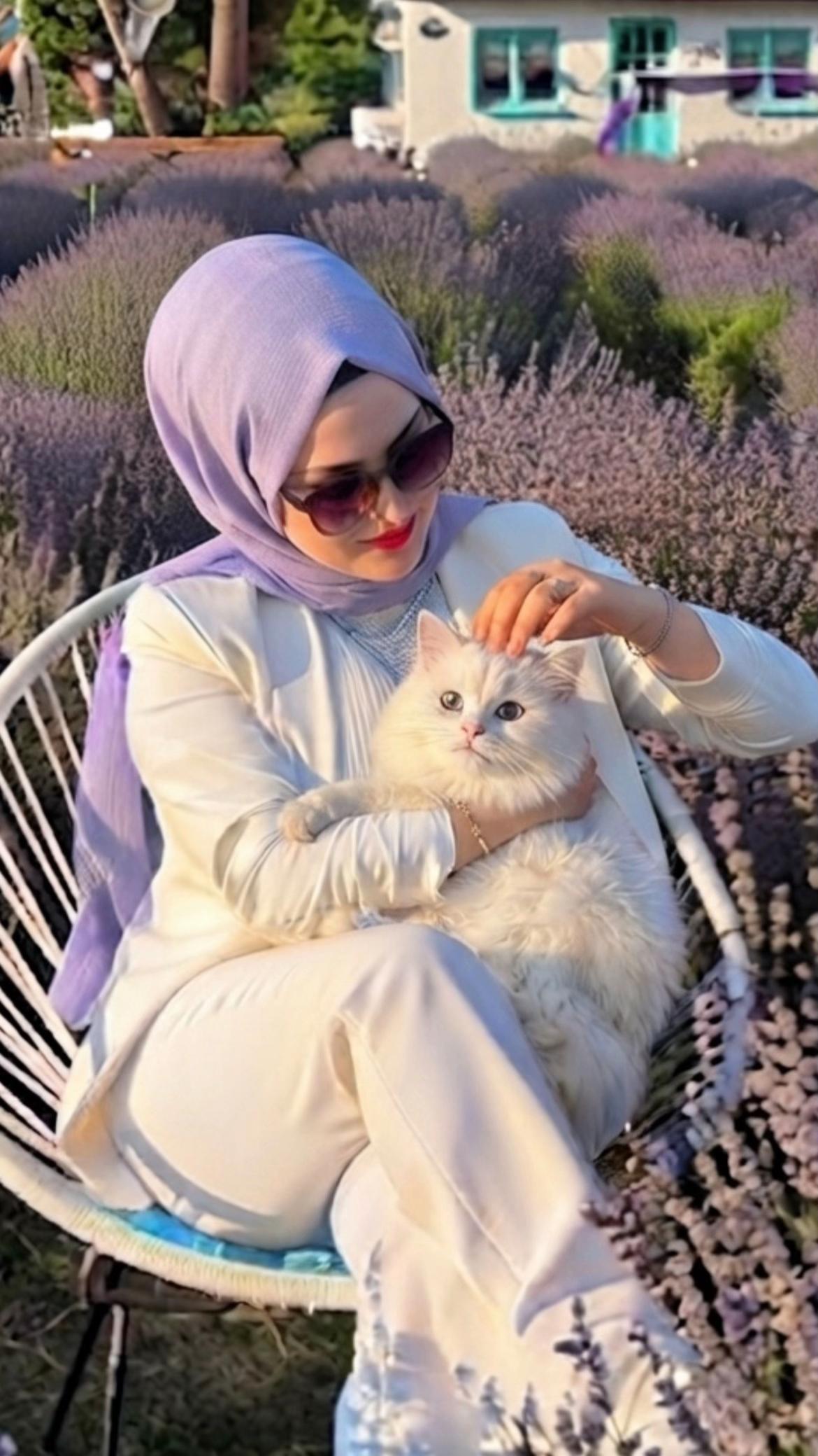 @Mutfakperisi