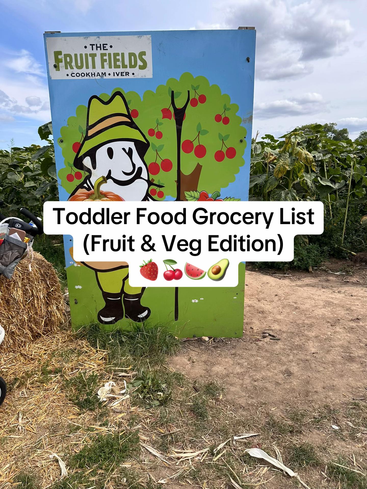 @Maaria | Toddler Nutrition
