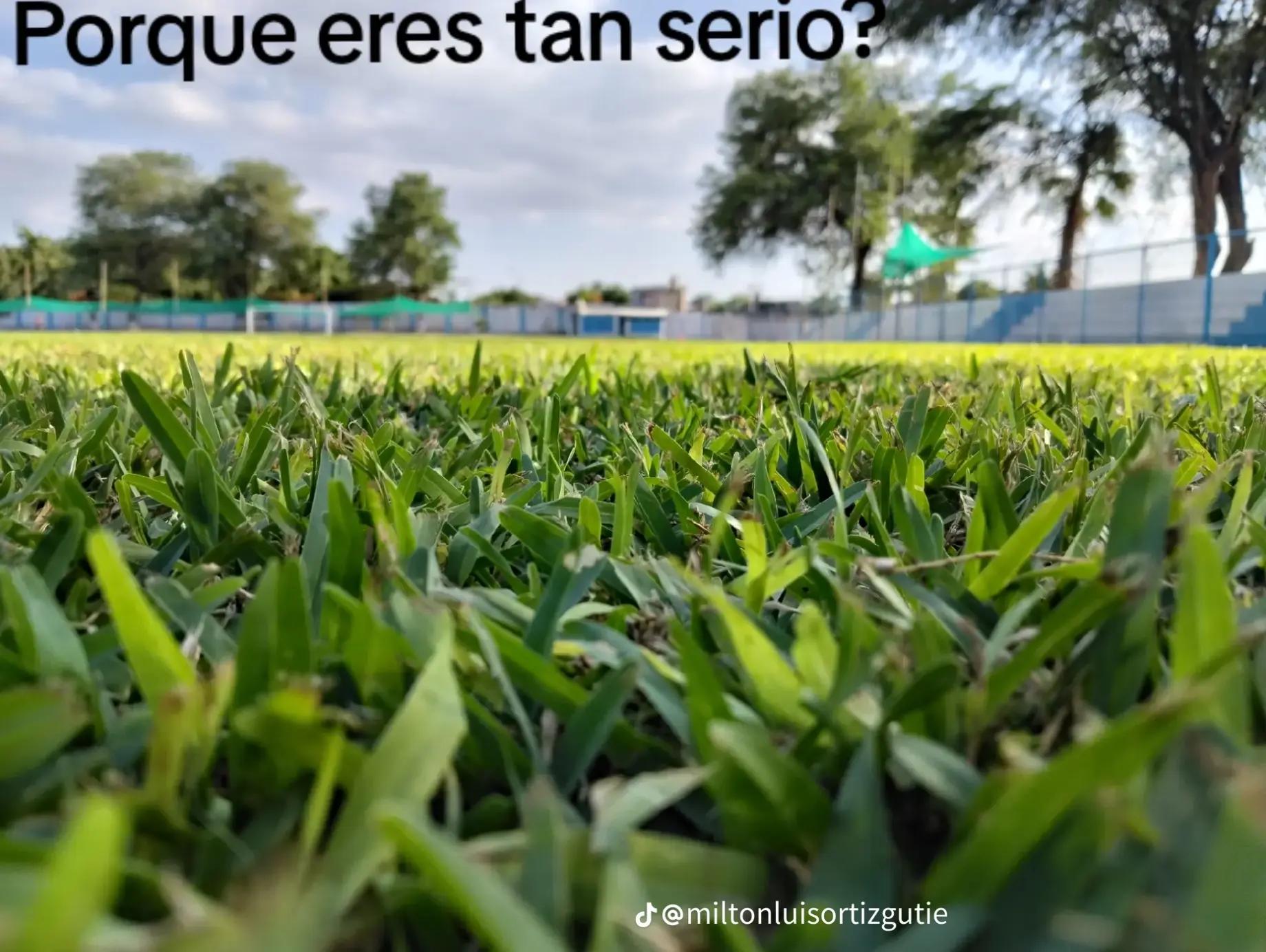@DAN 🧒