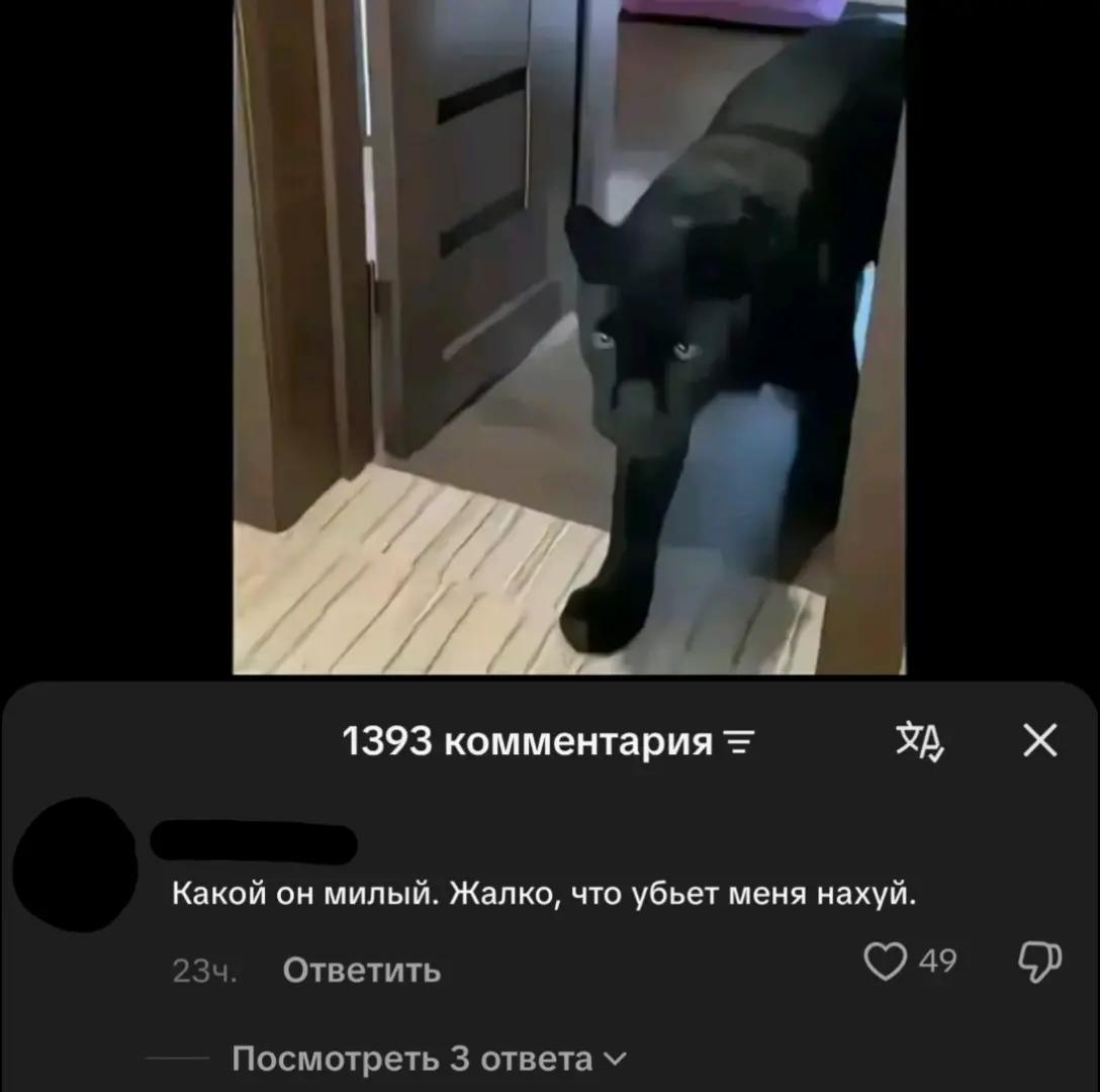 @Stazerka