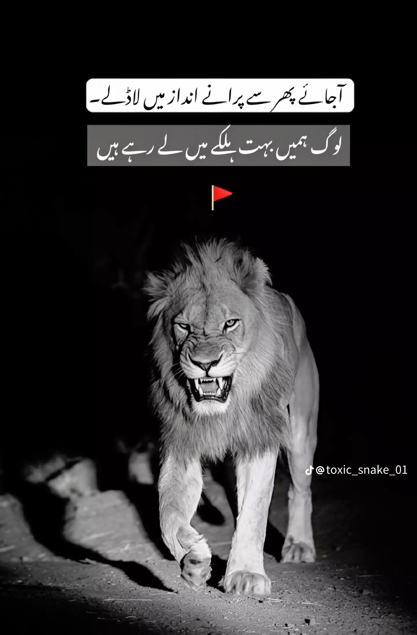 @✨رضا گل🦅