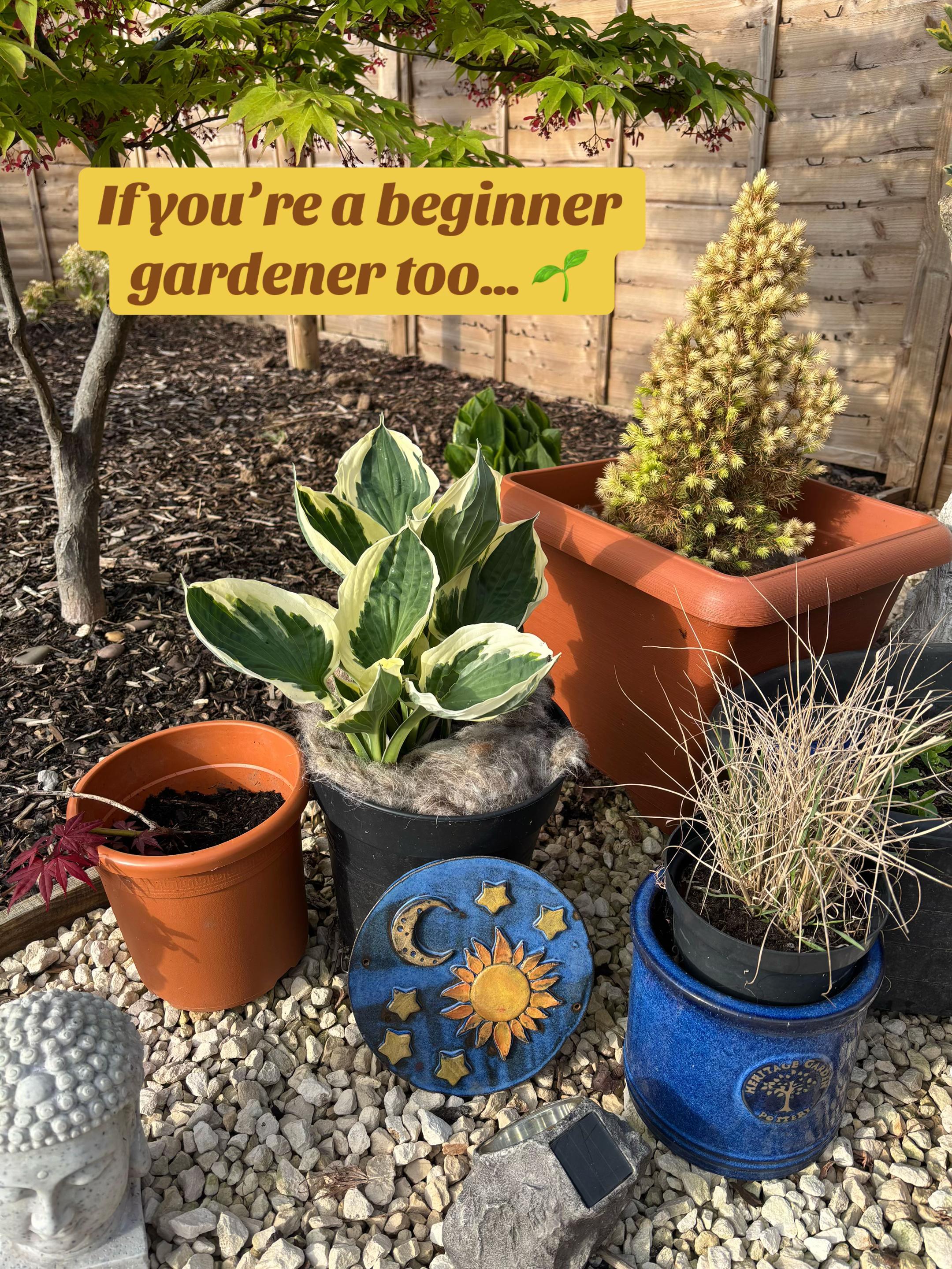 @Georgie | Gardening