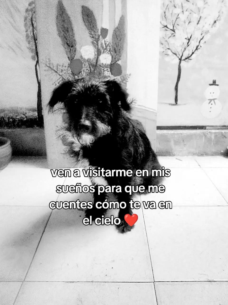 @VALENTAIN