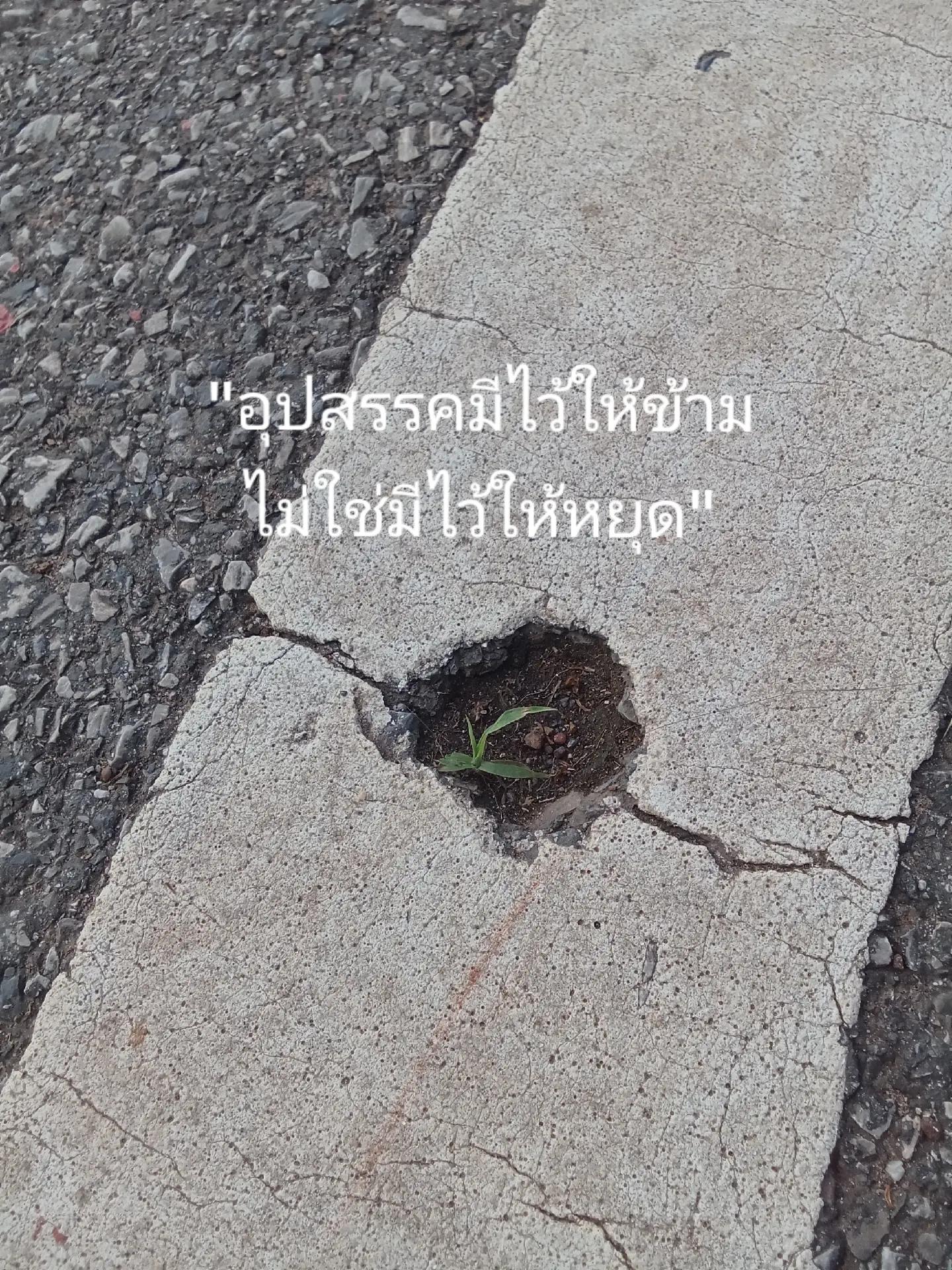 @thanawat. (Paun)🎖️