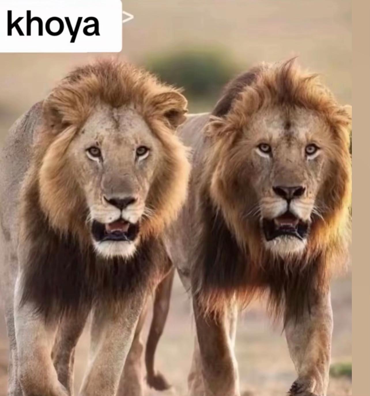 @3ayeche jewale 🛣️🚚🫶🫶