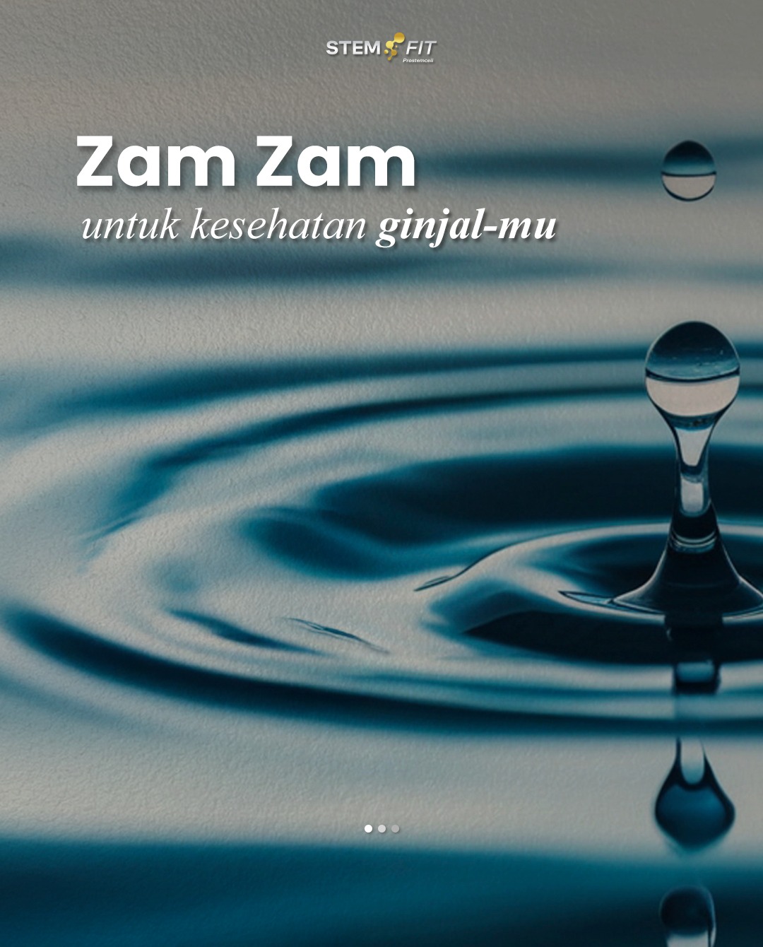 @Stemfit Official